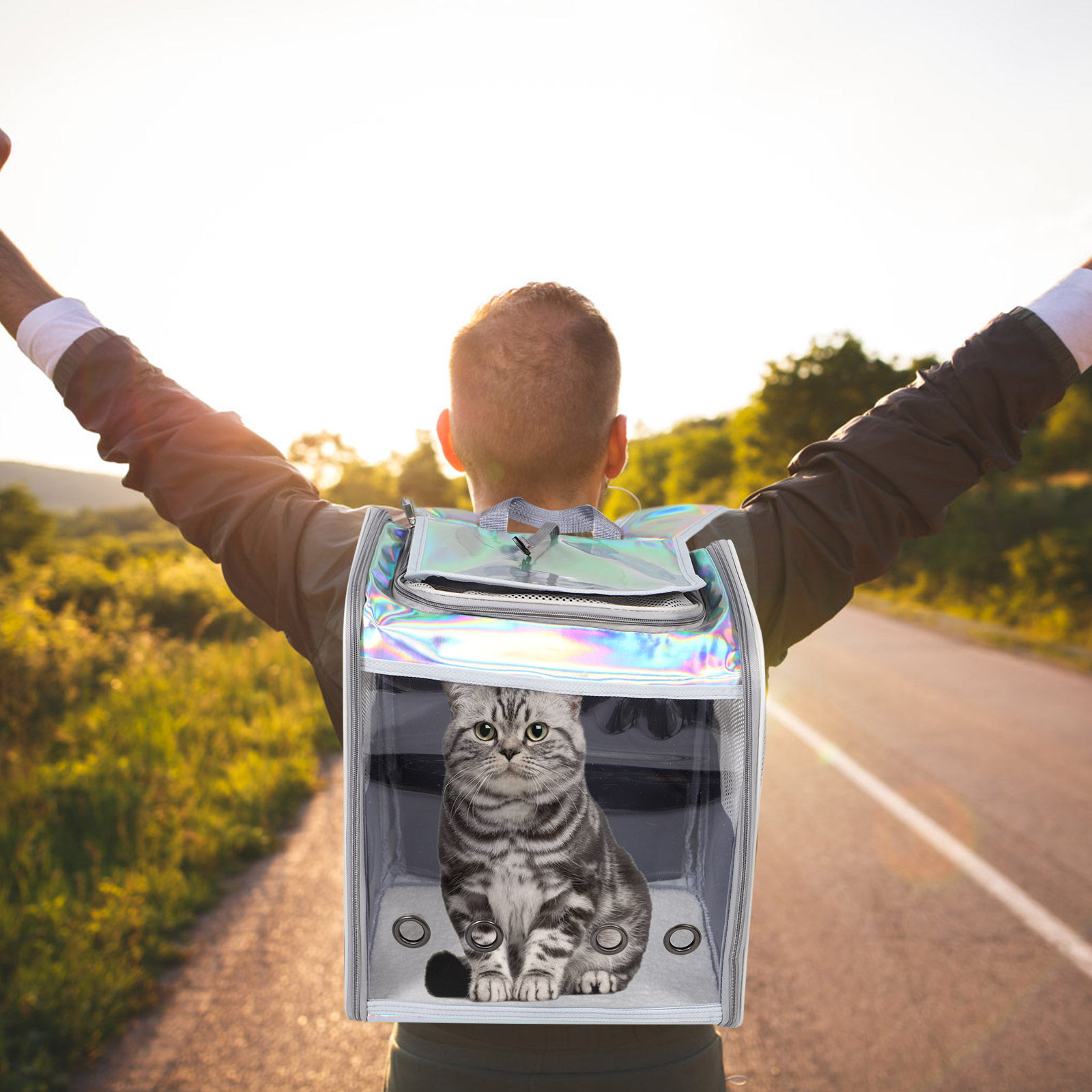 Breathable Mesh Pet Backpack C - Foldable Backpack Small avis et prix